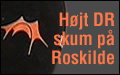 H&oslash;jt skum p&aring; Roskilde