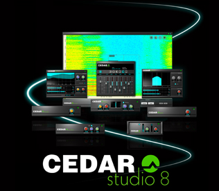 Cedar Studio 8