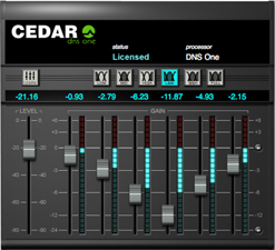 Cedar Audio DNS-One sk&aelig;rm