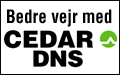 Bedre vejr med Cedar DNS