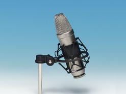 R&Oslash;DE NT-1